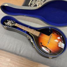 Jumbo A-Type Mandolin_9