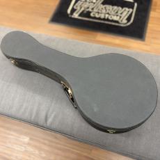 Jumbo A-Type Mandolin_10