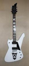 Washburn PS1600
