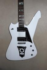 Washburn PS1600_2