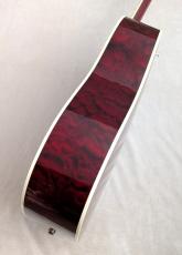 Gibson 【Gibson Expo 出展品】Firebird【2007年製】【極上キルトメイプルボディ】_13
