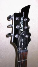Washburn PS1600_3
