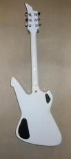 Washburn PS1600_4