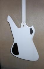Washburn PS1600_5