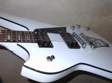 Washburn PS1600_6