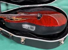 Ovation COLLECTOR'S MODEL 2002-AC_4
