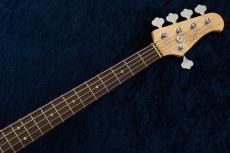XOTiC XJ-1T 5st Heavy Aged -Dark Lake Placid Blue-_6