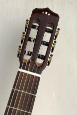 Cordoba Stage Guitar Edge Burst【48mm幅 細身ネック】】【薄胴エレガット】【デュアルピックアップ】_4