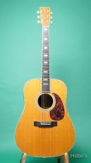Martin D-45_2