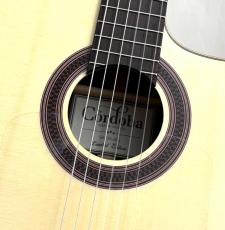 Cordoba 【実物画像】GK Studio Limited【極杢ジリコテ】【デュアルピックアップ】【42回払い無金利OK】_5