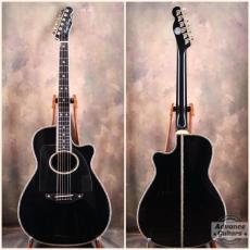 Terry's Terry 2023年製 TS Custom