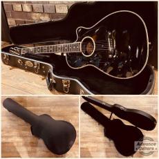 Terry's Terry 2023年製 TS Custom_3