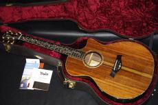 Taylor PS14CE FLTD_2