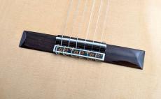 Jose Ramirez [ホセ・ラミレス] 【特典あり!】Estudio 140 CWE Spruce #129【スペイン製 本格派エレガット】【デュアルPU】_4