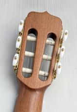 Jose Ramirez [ホセ・ラミレス] 【特典あり!】Estudio 140 CWE Spruce #129【スペイン製 本格派エレガット】【デュアルPU】_11