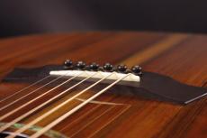 Taylor PS14CE FLTD_6