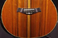 Taylor PS14CE FLTD_9