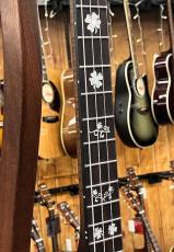 GOLD TONE IT-17 Irish Tenor Banjo_4