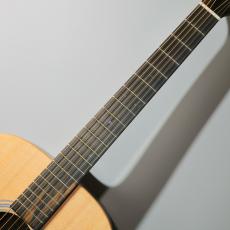 Martin D-X2E Billy Strings #3038610【48回無金利分割可能!】_4