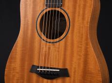 Taylor Baby Taylor Mahogany (BT-2) _5