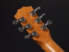 Taylor Baby Taylor Mahogany (BT-2) _8