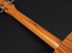 Taylor Baby Taylor Mahogany (BT-2) _9