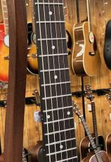 GOLD TONE AC-6  Mini Acoustic Composite Banjitar_4
