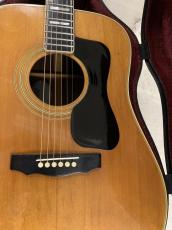 Guild D-55 NAT  1981年製 Westerly工場製 オリジナルハードケース付き!_3