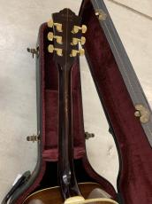 Guild D-55 NAT  1981年製 Westerly工場製 オリジナルハードケース付き!_9