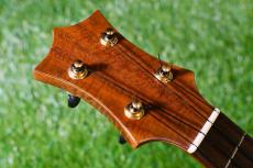 Hamada Guitars Tokyo C-013 Concert_5