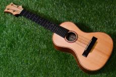 HAMAGEN C-017 Concert_2