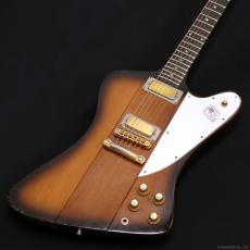 Gibson Firebird Bicentennial Edition 1976