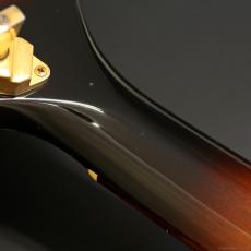 Gibson Firebird Bicentennial Edition 1976_11