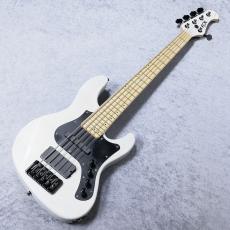 FUJIGEN JMJ5-ASH-DE-M MOD【5.17kg】_2