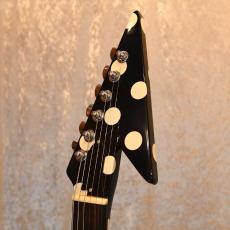 FERNANDES FV-105RR_3