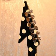FERNANDES FV-105RR_4