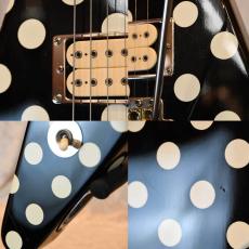 FERNANDES FV-105RR_6