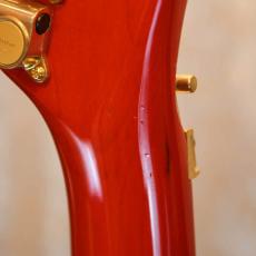 FERNANDES LA-CUSTOM KK_5