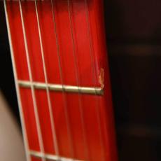 FERNANDES LA-CUSTOM KK_6