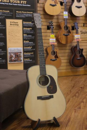 Eastman E8-D-TC