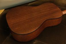 Eastman E1P-CLA_2