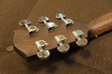 Eastman PCH2-GACE-CLA_6