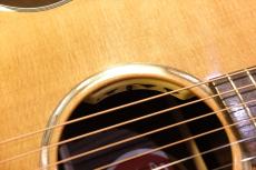 Eastman PCH2-GACE-CLA_8