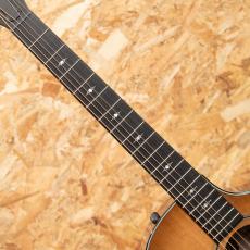 Taylor 50th Anniversary 314ce Shaded EdgeBurst LTD_6