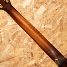 Taylor 50th Anniversary 314ce Shaded EdgeBurst LTD_7