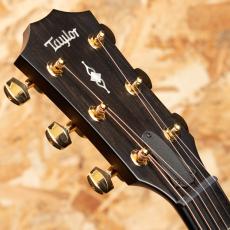 Taylor 50th Anniversary 314ce Shaded EdgeBurst LTD_8