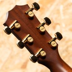 Taylor 50th Anniversary 314ce Shaded EdgeBurst LTD_9
