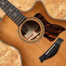 Taylor 50th Anniversary 314ce Shaded EdgeBurst LTD_10