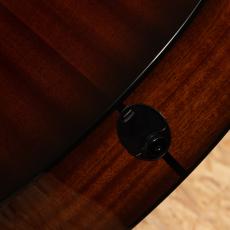 Taylor 50th Anniversary 314ce Shaded EdgeBurst LTD_11