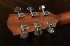 Eastman PCH1-GACE-CLA_6